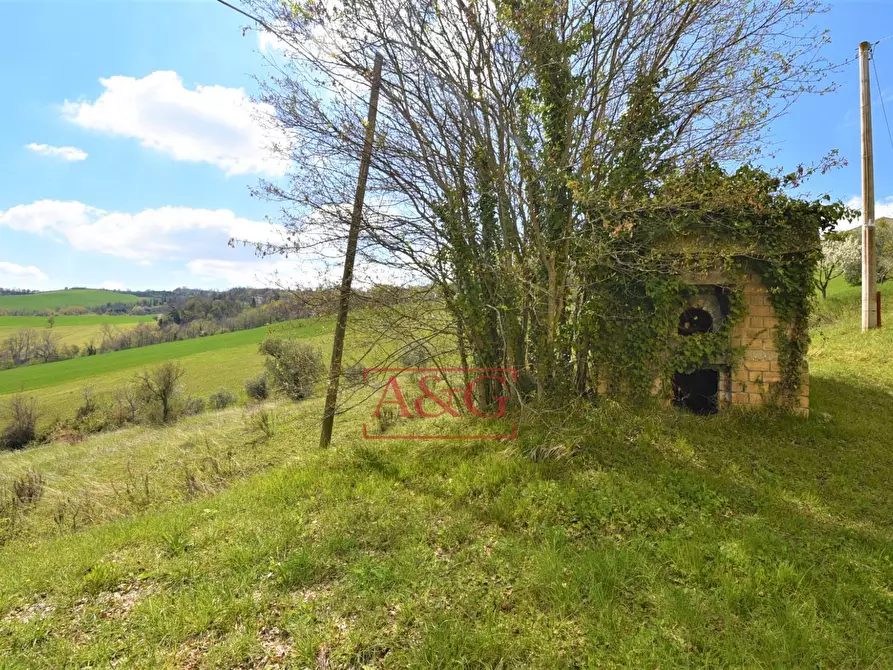 Immagine 9 di Rustico / casale in vendita  in montefalcone a Montefalcone Appennino