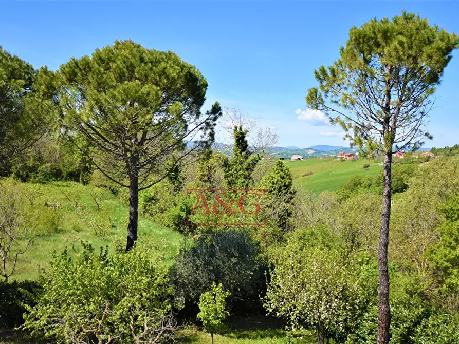 Immagine 28 di Villa in vendita  in Via Della Pace a Falerone