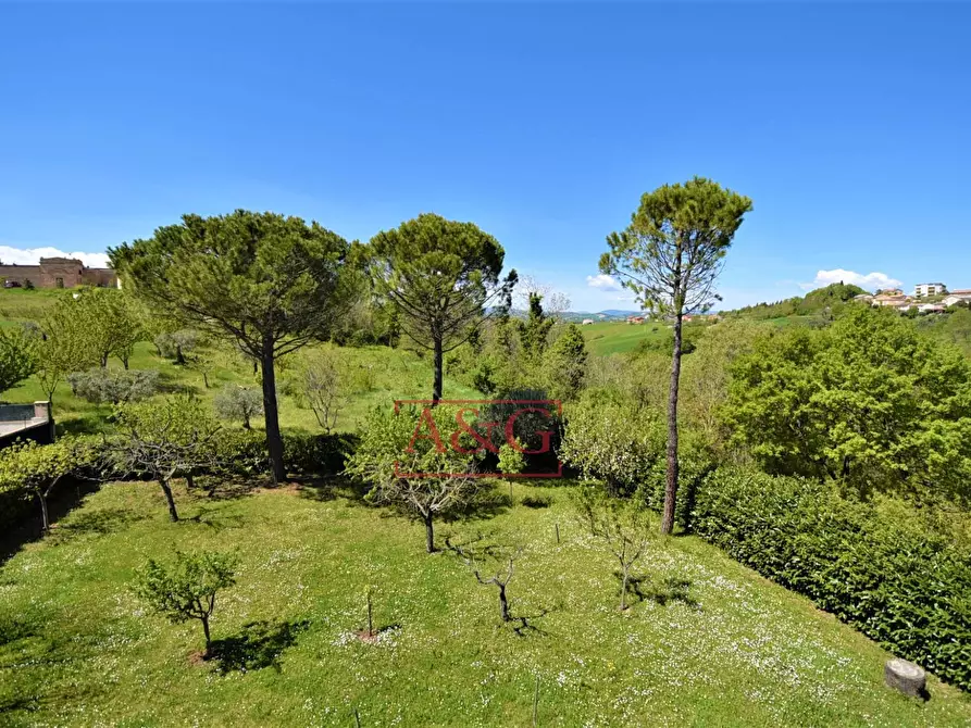 Immagine 29 di Villa in vendita  in Via Della Pace a Falerone