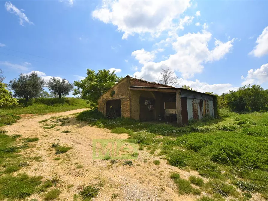 Immagine 9 di Casa indipendente in vendita  in Frazione Montefiore 136 a Recanati