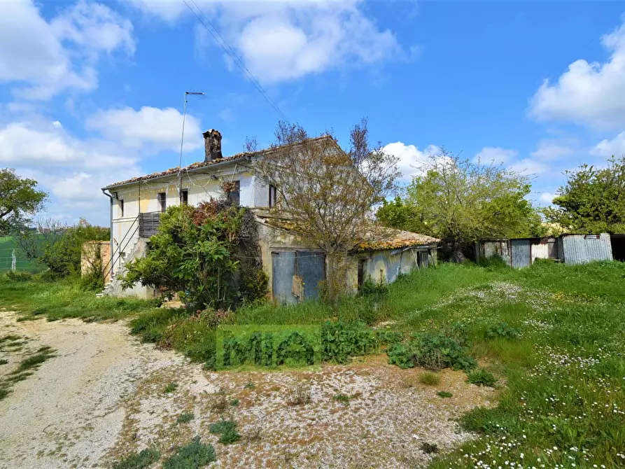 Immagine 4 di Casa indipendente in vendita  in Frazione Montefiore 136 a Recanati