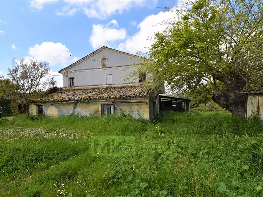 Immagine 6 di Casa indipendente in vendita  in Frazione Montefiore 136 a Recanati
