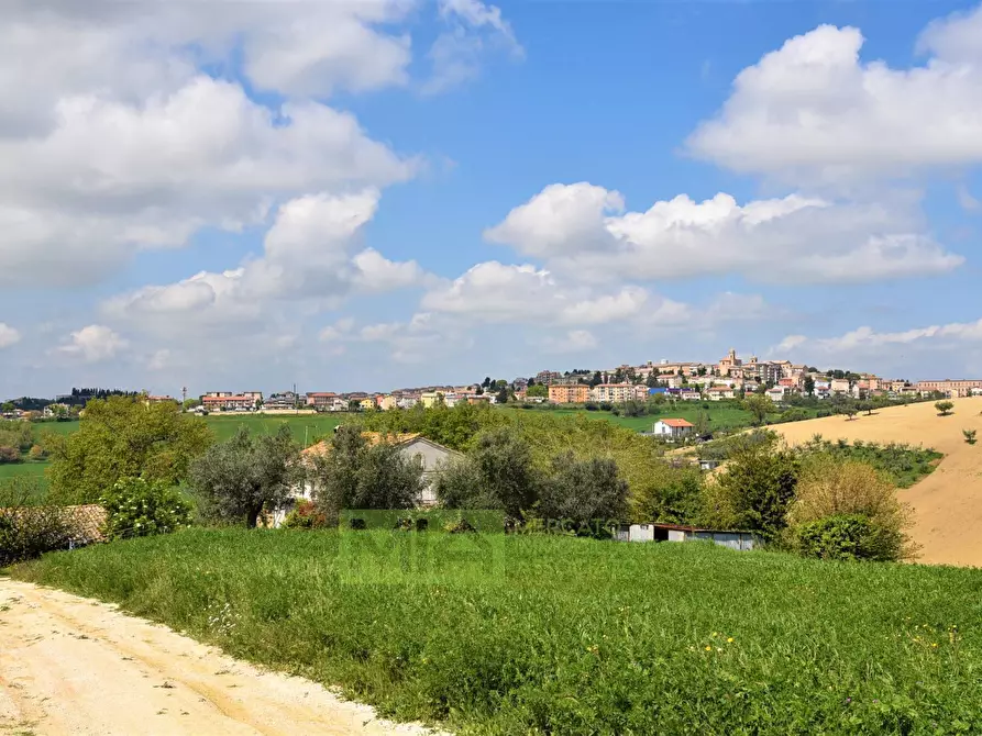 Immagine 32 di Casa indipendente in vendita  in Frazione Montefiore 136 a Recanati
