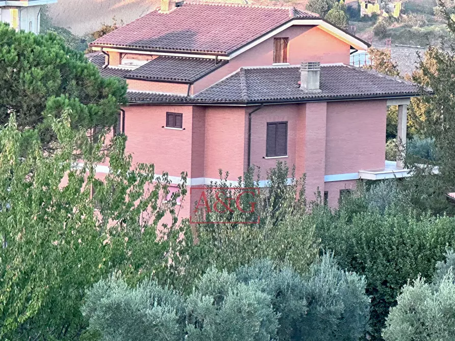 Immagine 51 di Villa in vendita  in Via Della Pace a Falerone