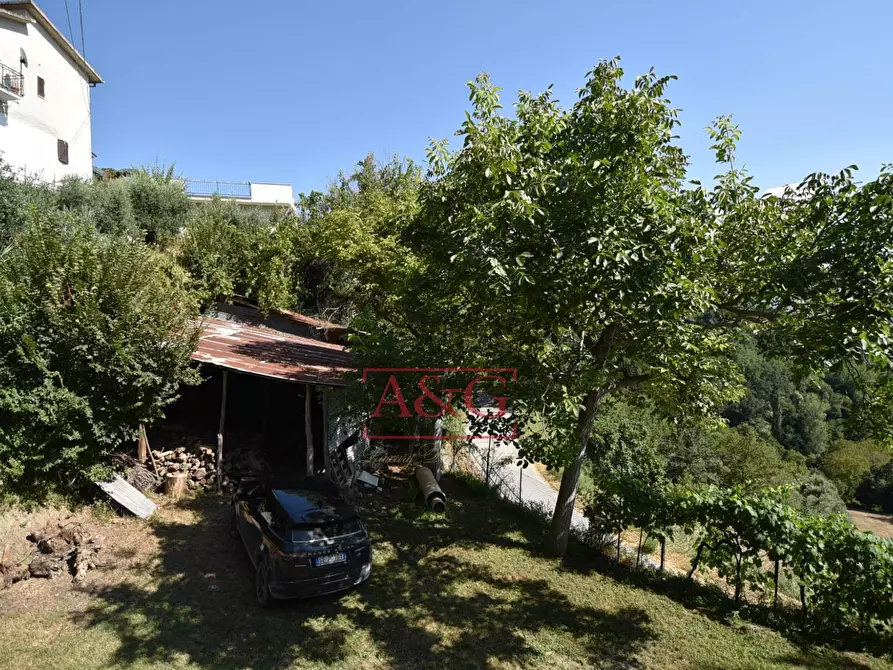 Immagine 37 di Rustico / casale in vendita  in Frazione Trivigliano 3-6 a Ascoli Piceno