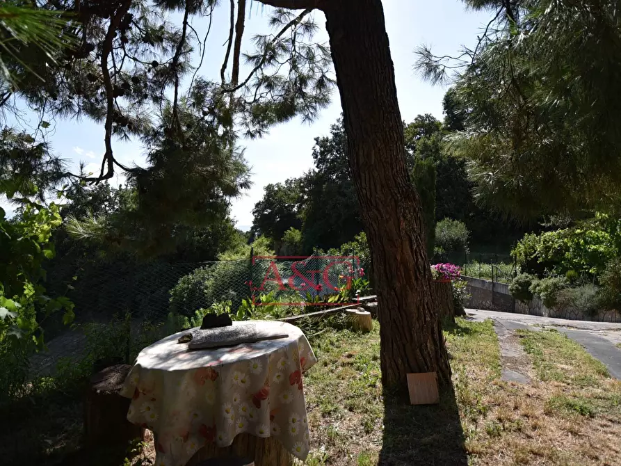 Immagine 38 di Rustico / casale in vendita  in Frazione Trivigliano 3-6 a Ascoli Piceno