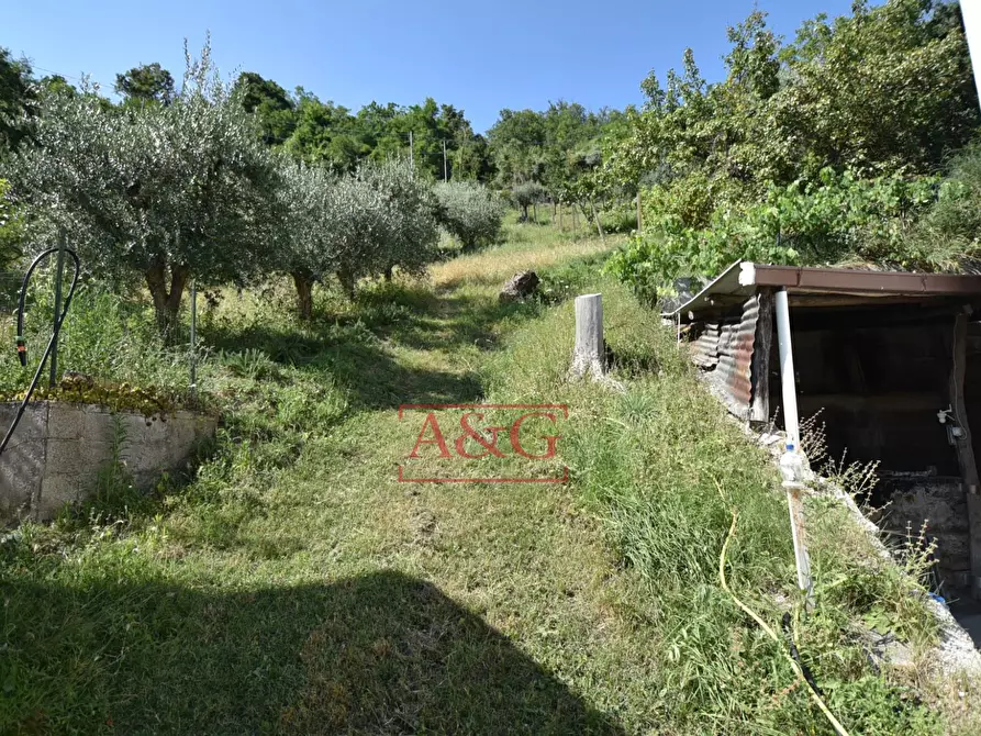 Immagine 44 di Rustico / casale in vendita  in Frazione Trivigliano 3-6 a Ascoli Piceno