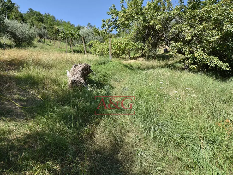 Immagine 45 di Rustico / casale in vendita  in Frazione Trivigliano 3-6 a Ascoli Piceno