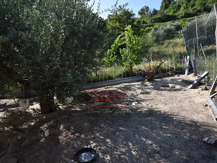 Immagine 57 di Rustico / casale in vendita  in Frazione Trivigliano 3-6 a Ascoli Piceno