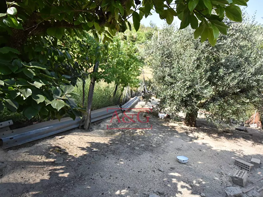 Immagine 58 di Rustico / casale in vendita  in Frazione Trivigliano 3-6 a Ascoli Piceno