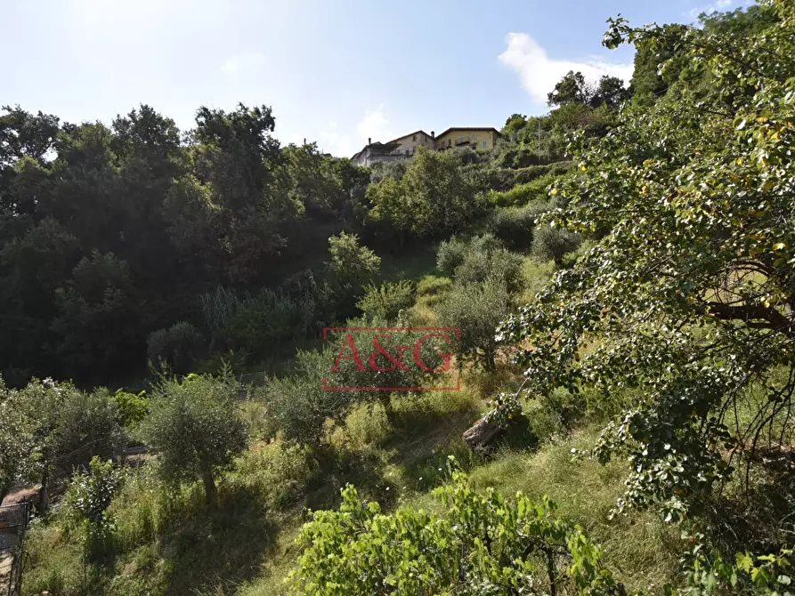 Immagine 61 di Rustico / casale in vendita  in Frazione Trivigliano 3-6 a Ascoli Piceno