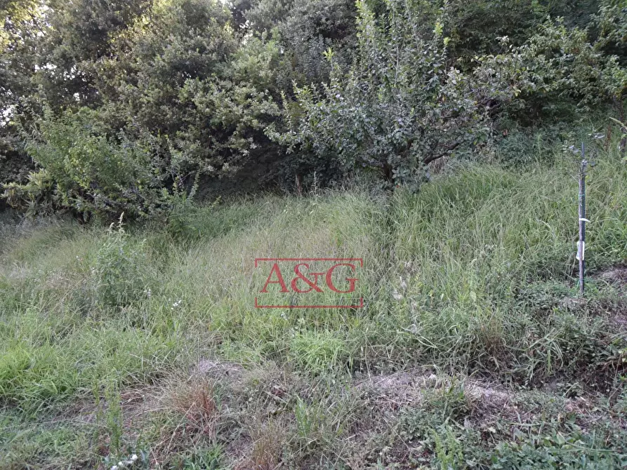 Immagine 67 di Rustico / casale in vendita  in Frazione Trivigliano 3-6 a Ascoli Piceno