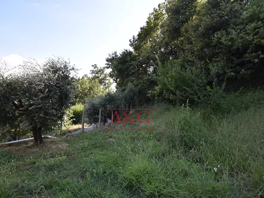 Immagine 66 di Rustico / casale in vendita  in Frazione Trivigliano 3-6 a Ascoli Piceno