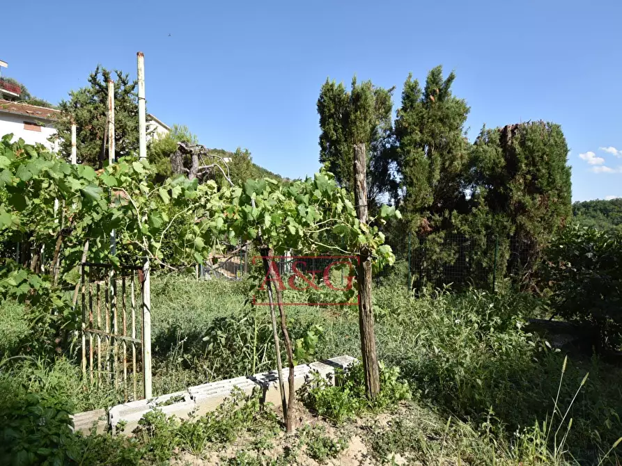 Immagine 68 di Rustico / casale in vendita  in Frazione Trivigliano 3-6 a Ascoli Piceno