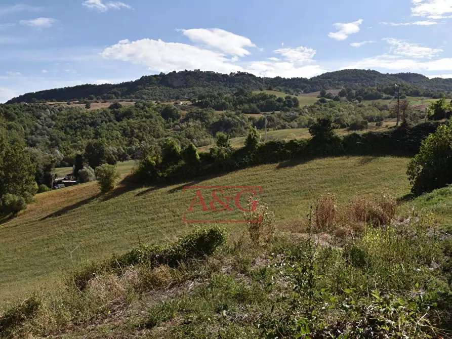 Immagine 26 di Rustico / casale in vendita  in Contrada San Giovanni 10 a Smerillo