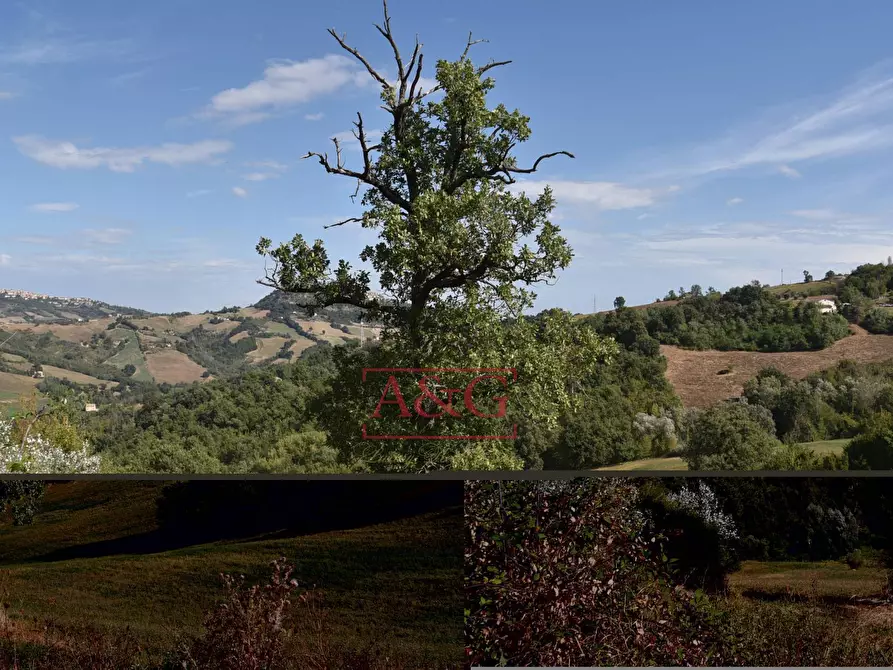 Immagine 27 di Rustico / casale in vendita  in Contrada San Giovanni 10 a Smerillo