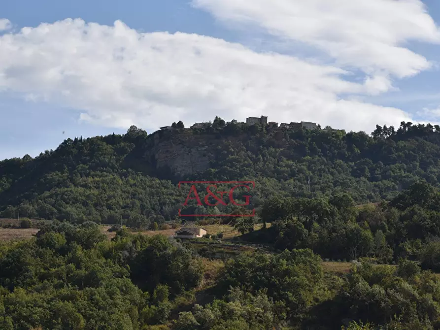 Immagine 29 di Rustico / casale in vendita  in Contrada San Giovanni 10 a Smerillo