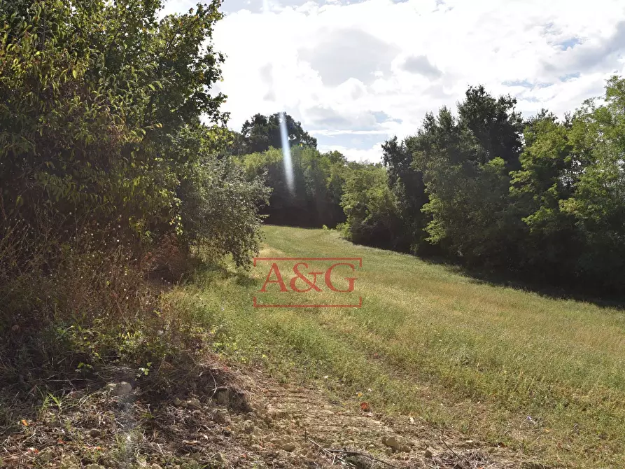 Immagine 31 di Rustico / casale in vendita  in Contrada San Giovanni 10 a Smerillo