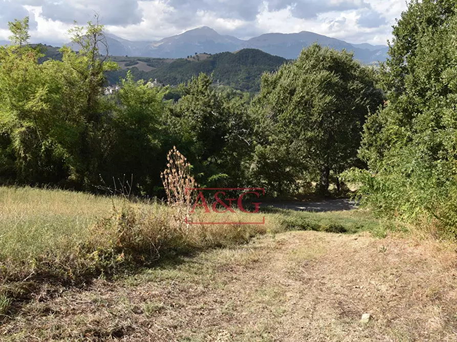 Immagine 32 di Rustico / casale in vendita  in Contrada San Giovanni 10 a Smerillo