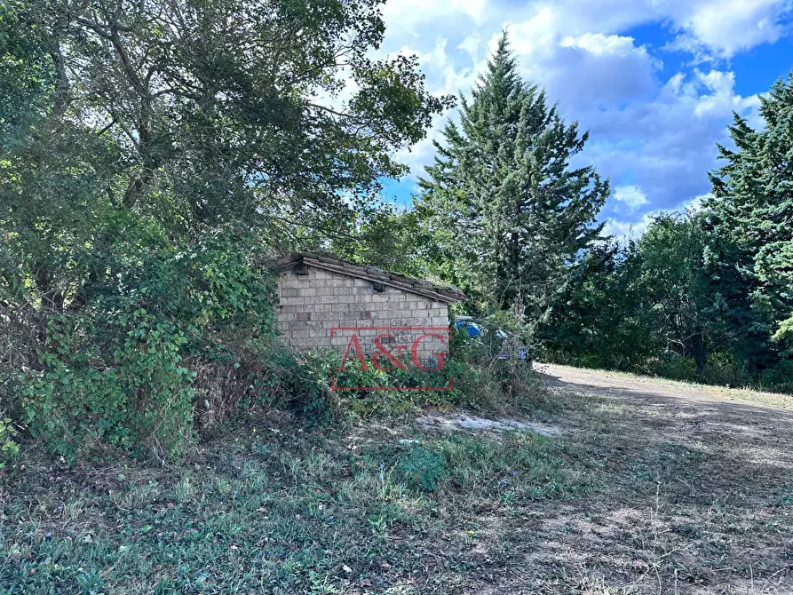 Immagine 24 di Rustico / casale in vendita  in Contrada San Giovanni 10 a Smerillo