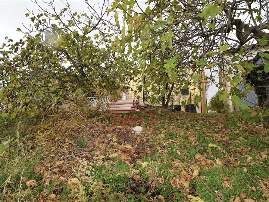 Immagine 49 di Casa indipendente in vendita  in Contrada Morrone a Belforte Del Chienti