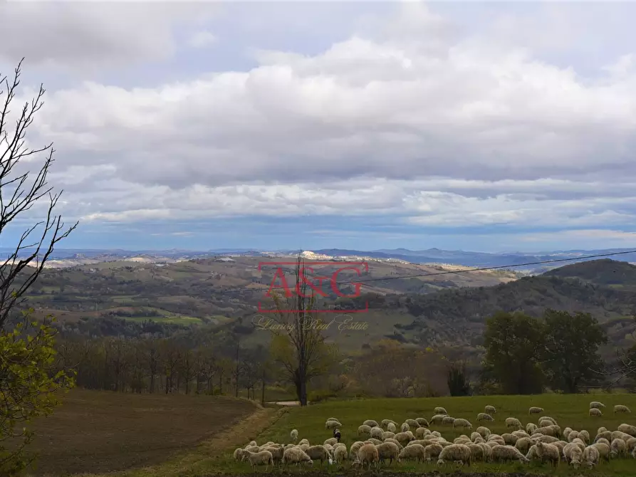 Immagine 45 di Casa indipendente in vendita  in Contrada Morrone a Belforte Del Chienti