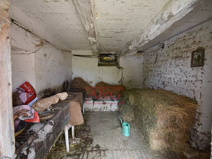 Immagine 28 di Rustico / casale in vendita  in Contrada Saan Biagio 328 a Penna San Giovanni