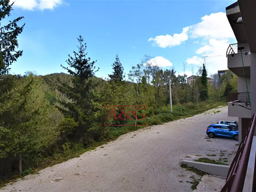 Immagine 7 di Appartamento in vendita  in Via Domenico Sbarra a Montefortino