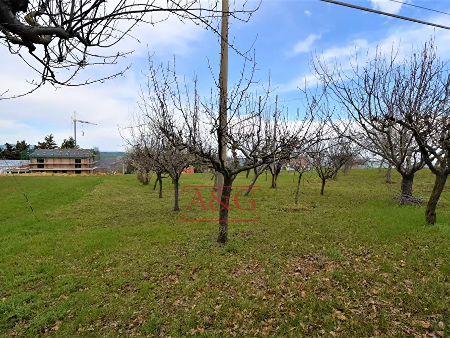 Immagine 41 di Casa semindipendente in vendita  in Contrada Castello 7/B a Gualdo