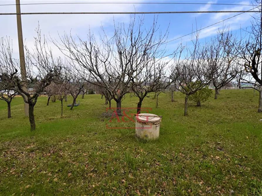 Immagine 42 di Casa semindipendente in vendita  in Contrada Castello 7/B a Gualdo