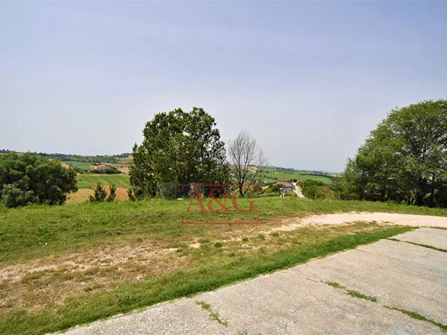 Immagine 3 di Terreno agricolo in vendita  in Contrada Rio del Bove a Torre San Patrizio