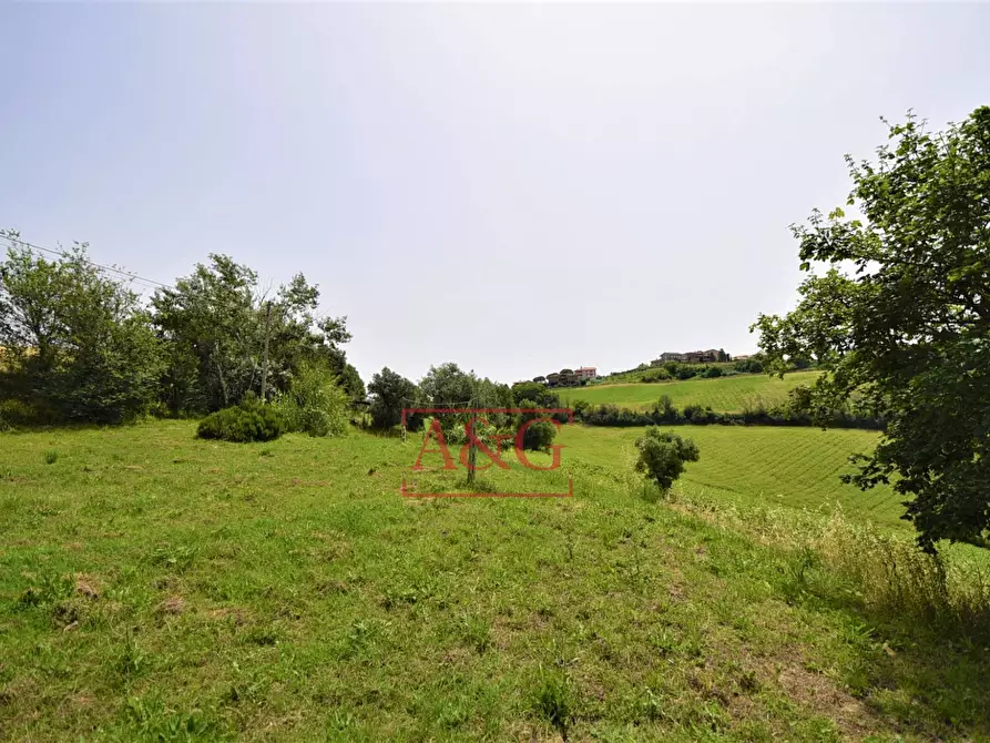 Immagine 5 di Terreno agricolo in vendita  in Contrada Rio del Bove a Torre San Patrizio