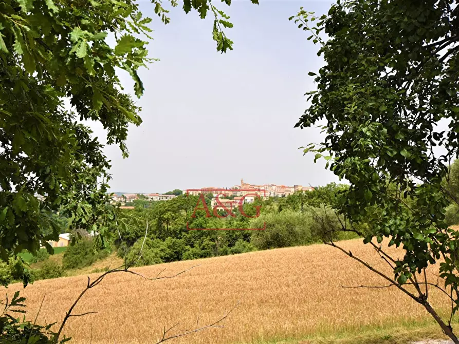 Immagine 10 di Terreno agricolo in vendita  in Contrada Rio del Bove a Torre San Patrizio