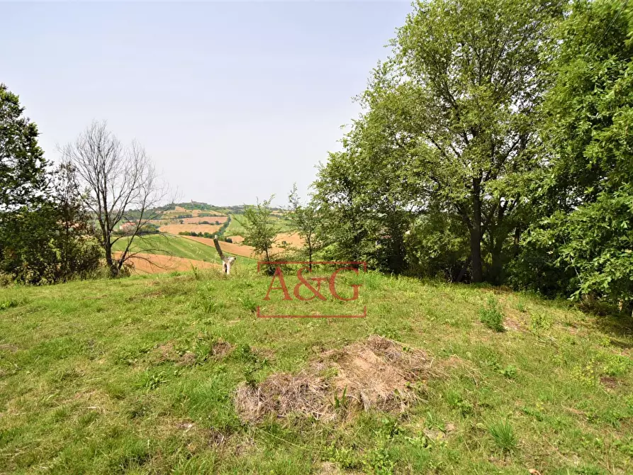 Immagine 11 di Terreno agricolo in vendita  in Contrada Rio del Bove a Torre San Patrizio