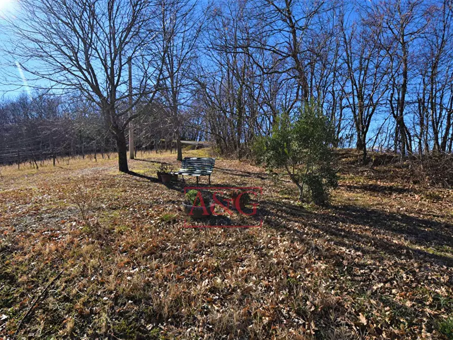 Immagine 42 di Villa in vendita  in Via Del Monte 10 a Smerillo