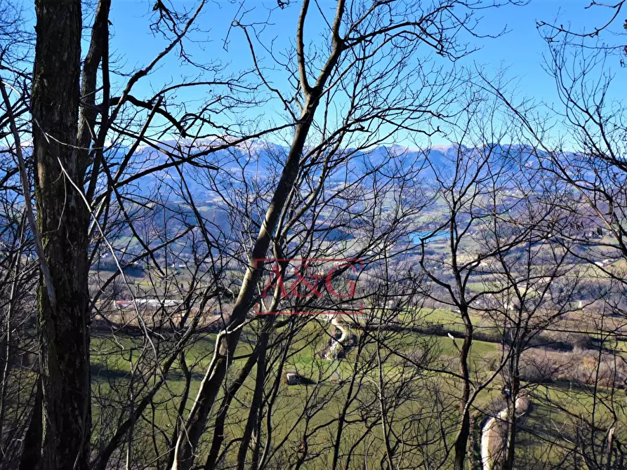 Immagine 43 di Villa in vendita  in Via Del Monte 10 a Smerillo