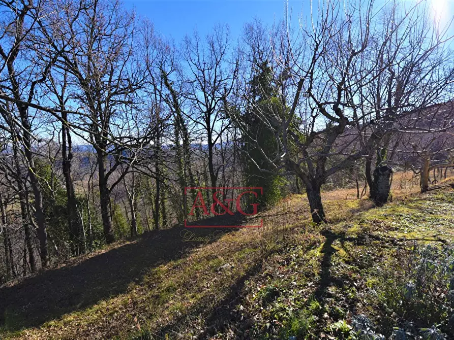 Immagine 47 di Villa in vendita  in Via Del Monte 10 a Smerillo