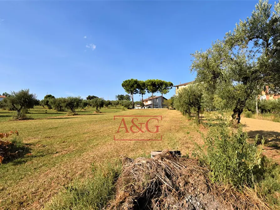 Immagine 44 di Appartamento in vendita  in CONTRADA POGGIO 19 a Mogliano