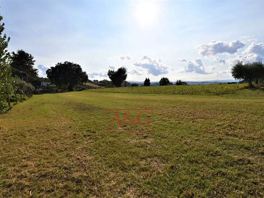 Immagine 45 di Appartamento in vendita  in CONTRADA POGGIO 19 a Mogliano