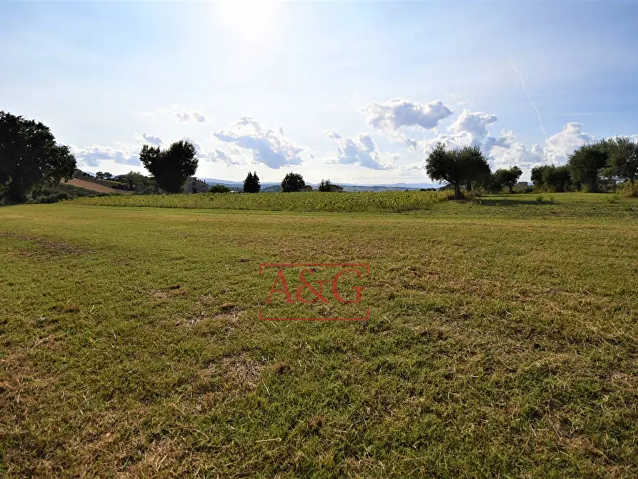 Immagine 46 di Appartamento in vendita  in CONTRADA POGGIO 19 a Mogliano