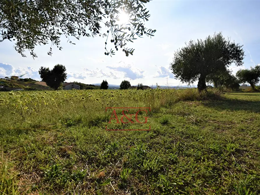 Immagine 47 di Appartamento in vendita  in CONTRADA POGGIO 19 a Mogliano