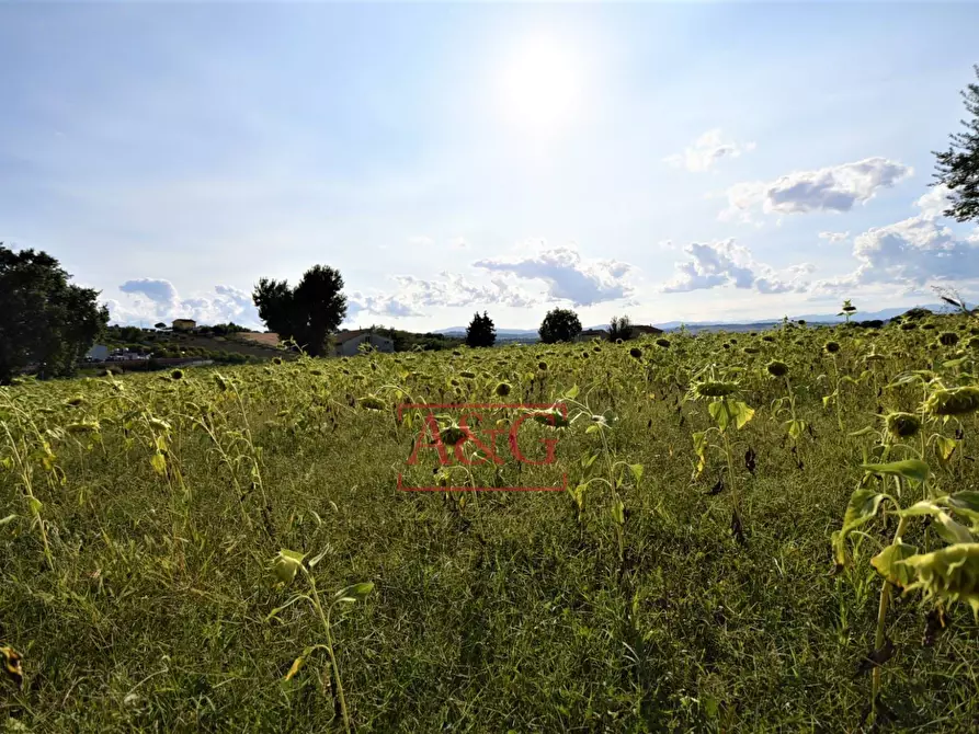 Immagine 49 di Appartamento in vendita  in CONTRADA POGGIO 19 a Mogliano