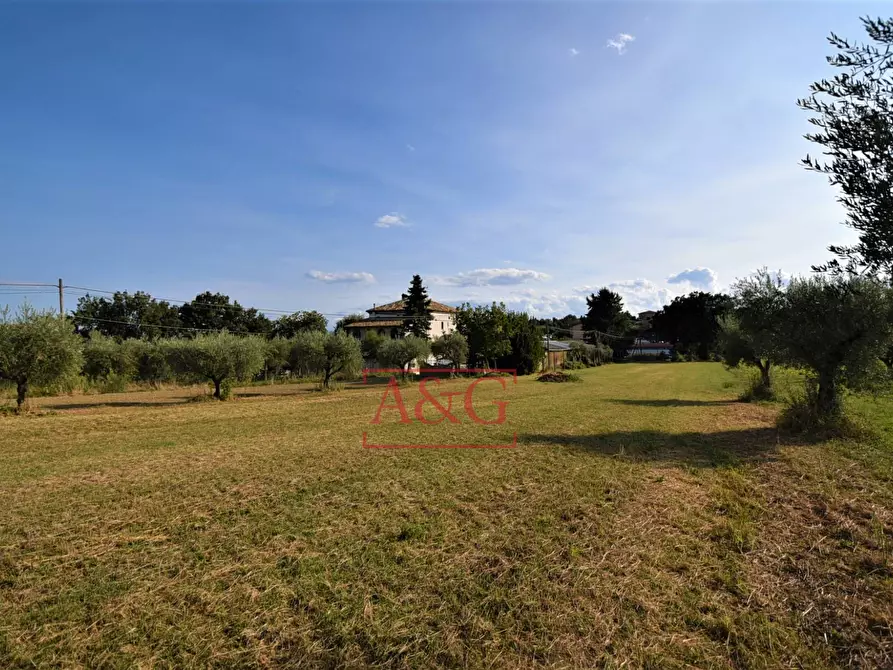 Immagine 48 di Appartamento in vendita  in CONTRADA POGGIO 19 a Mogliano