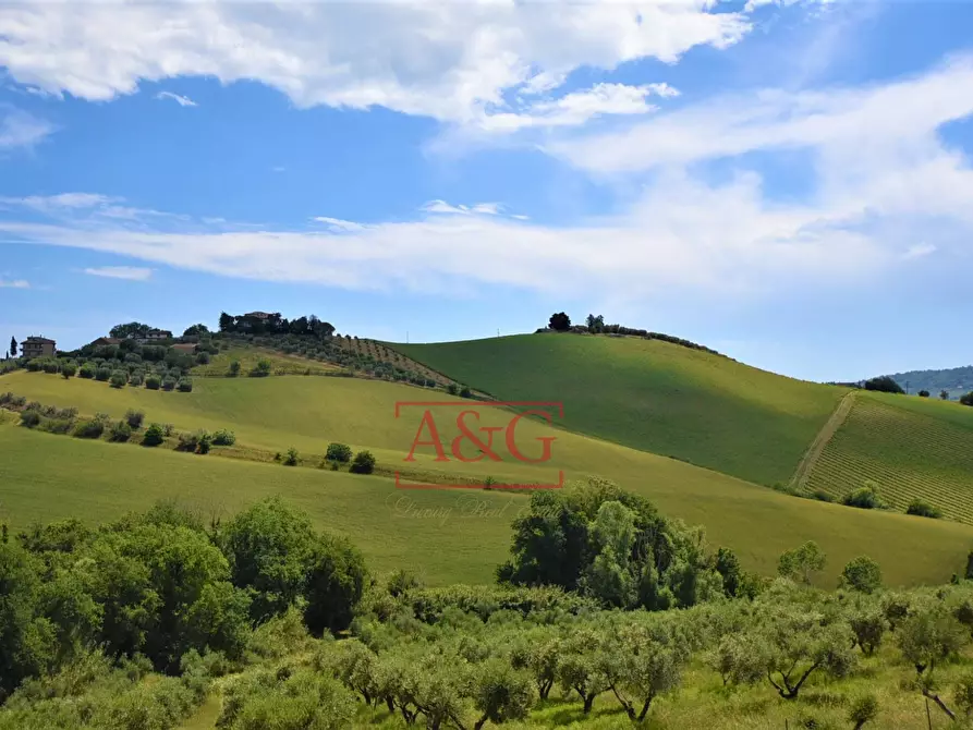 Immagine 71 di Villa in vendita  in Contrada Spiagge 12 a Monteprandone