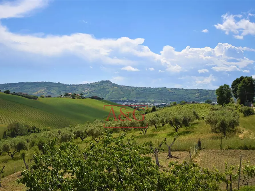 Immagine 67 di Villa in vendita  in Contrada Spiagge 12 a Monteprandone