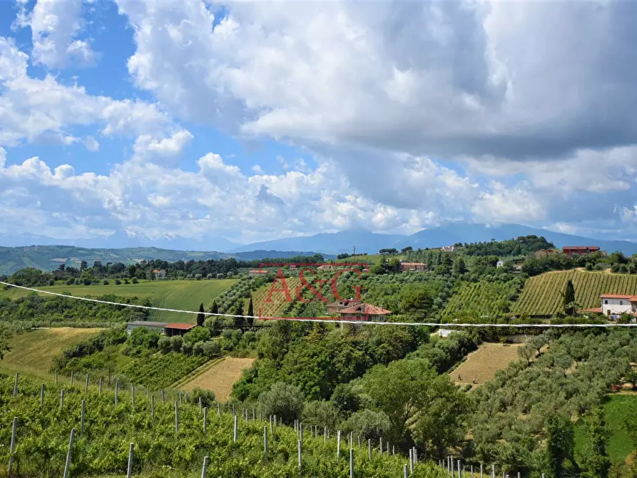 Immagine 38 di Villa in vendita  in Contrada Spiagge 12 a Monteprandone
