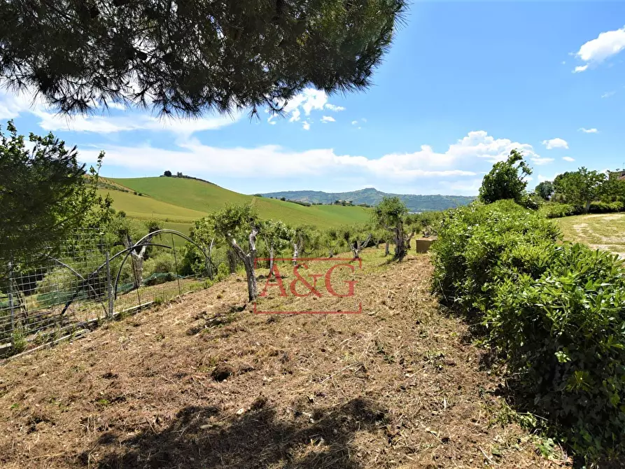 Immagine 62 di Villa in vendita  in Contrada Spiagge 12 a Monteprandone