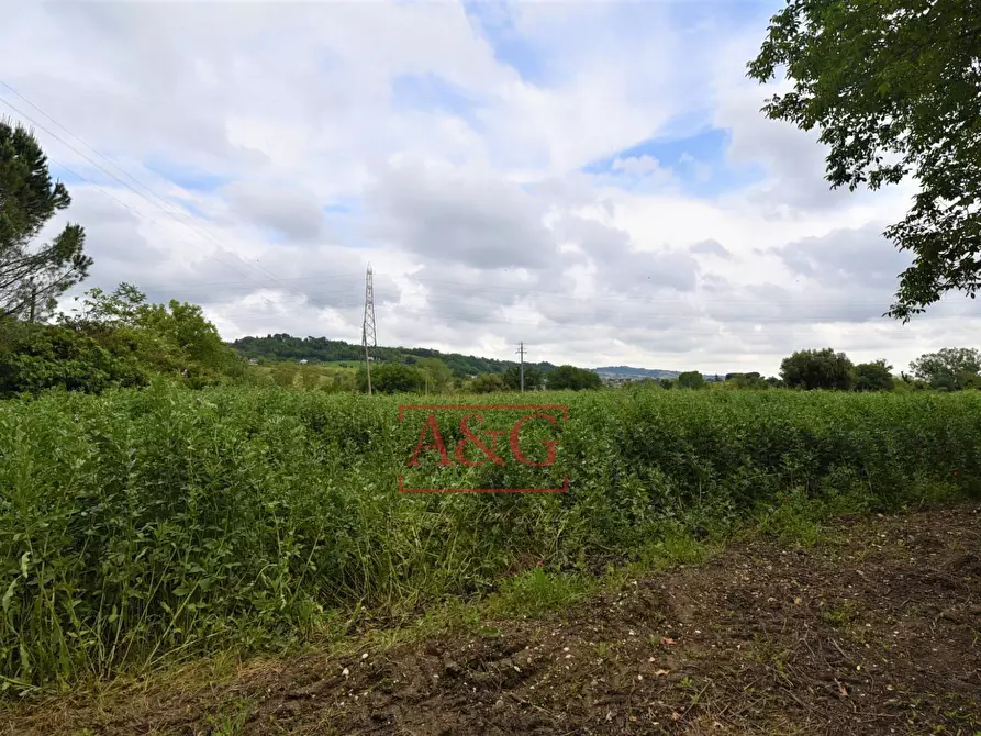 Immagine 35 di Casa indipendente in vendita  in Contrada Aiello a Penna San Giovanni