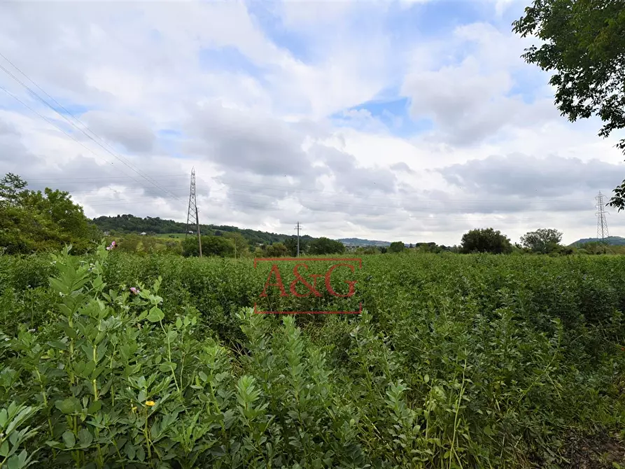 Immagine 37 di Casa indipendente in vendita  in Contrada Aiello a Penna San Giovanni