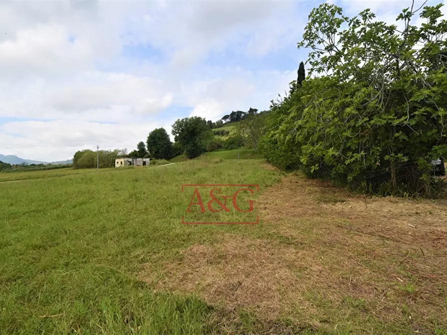 Immagine 38 di Casa indipendente in vendita  in Contrada Aiello a Penna San Giovanni